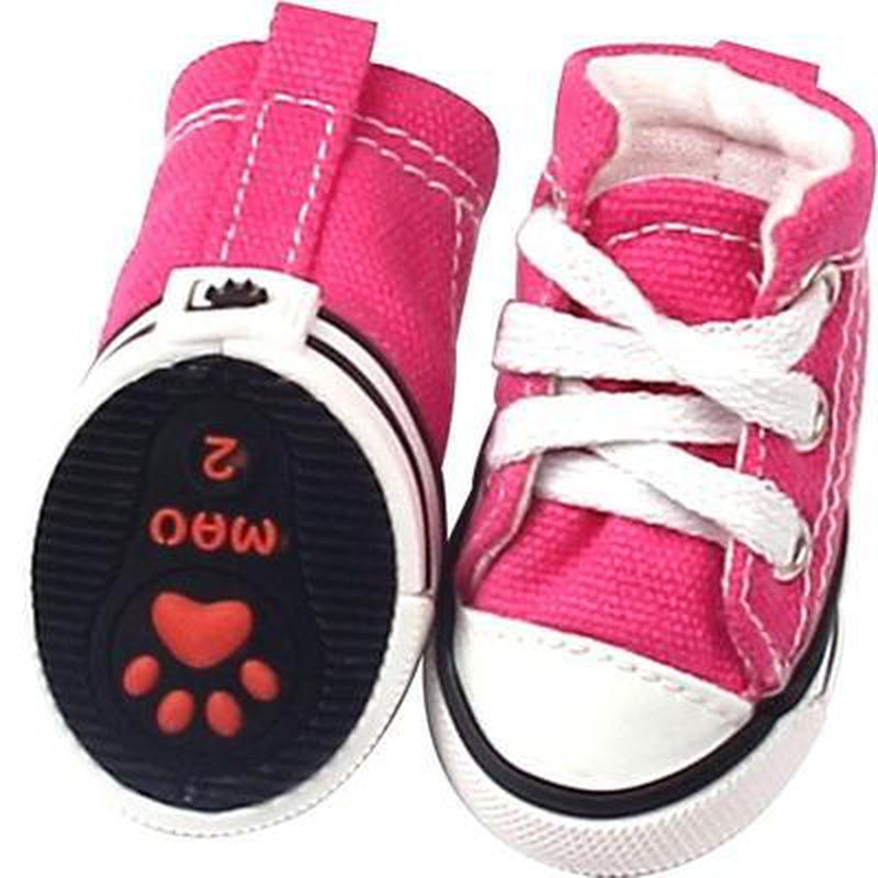 Pink converse shoes for dogs Clearance
