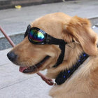 UV Protection Doggles, Pet Accessories, Furbabeez, [tag]