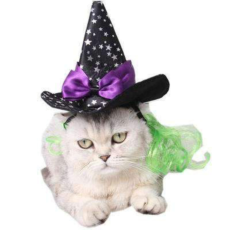 Star Witch Dog Hat, Pet Clothes, Furbabeez, [tag]