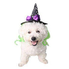 Star Witch Dog Hat, Pet Clothes, Furbabeez, [tag]