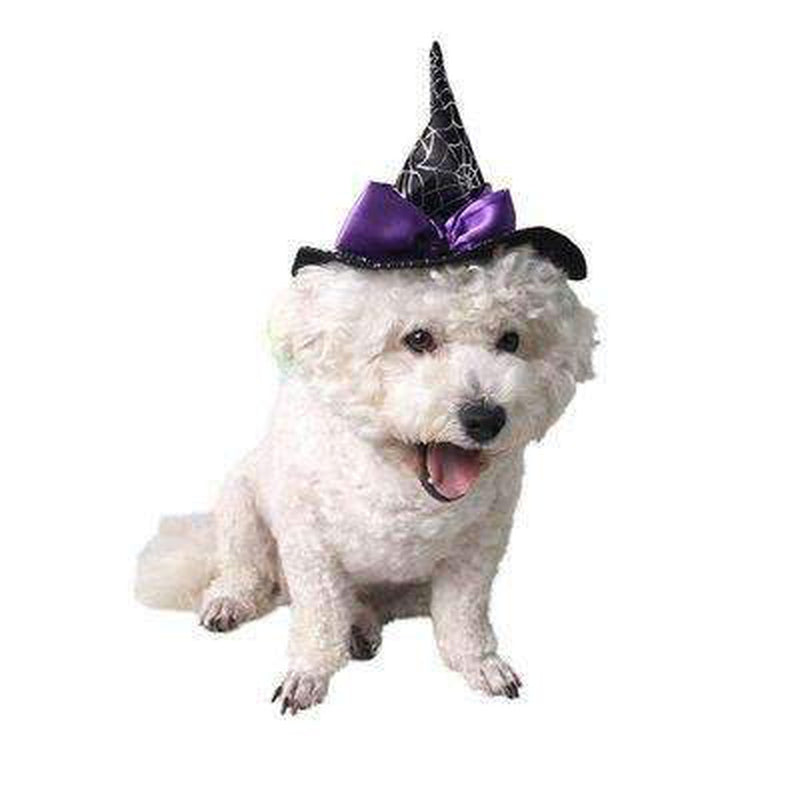 Star Witch Dog Hat, Pet Clothes, Furbabeez, [tag]