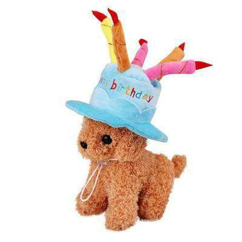 Dog Birthday Hat, Pet Accessories, Furbabeez, [tag]