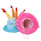 Dog Birthday Hat, Pet Accessories, Furbabeez, [tag]