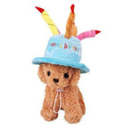 Dog Birthday Hat, Pet Accessories, Furbabeez, [tag]