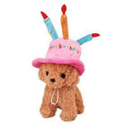 Dog Birthday Hat, Pet Accessories, Furbabeez, [tag]