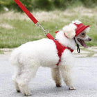 Fashion Dog Hats, Pet Accessories, Furbabeez, [tag]