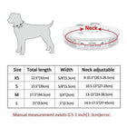 Rhinestone Engraved Dog Collar, Collars and Leads, Furbabeez, [tag]