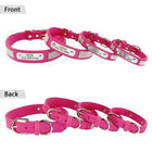 Rhinestone Engraved Dog Collar, Collars and Leads, Furbabeez, [tag]