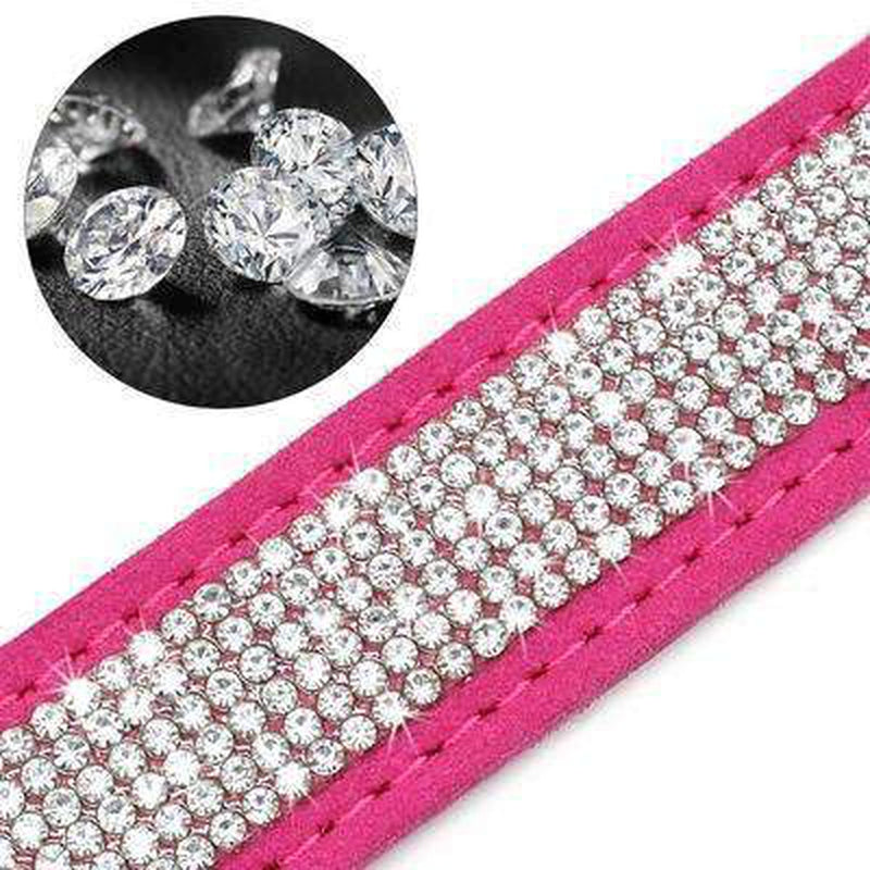 Rhinestone Engraved Dog Collar, Collars and Leads, Furbabeez, [tag]