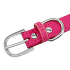 Rhinestone Engraved Dog Collar, Collars and Leads, Furbabeez, [tag]