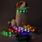 Flashing Gem Light LED Pet Dog Collar, Collars and Leads, Furbabeez, [tag]
