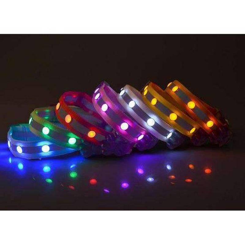 Flashing Gem Light LED Pet Dog Collar, Collars and Leads, Furbabeez, [tag]