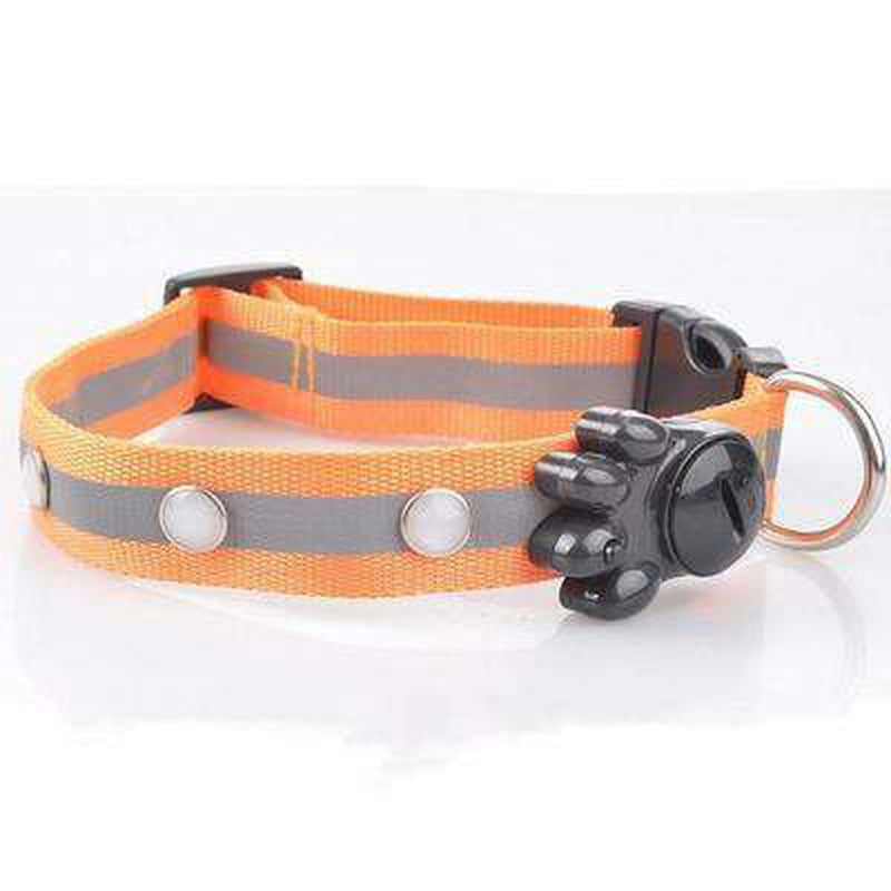 Flashing Gem Light LED Pet Dog Collar, Collars and Leads, Furbabeez, [tag]