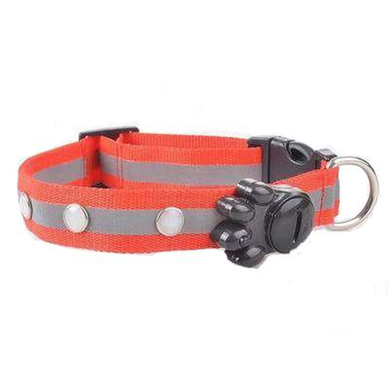 Flashing Gem Light LED Pet Dog Collar, Collars and Leads, Furbabeez, [tag]