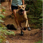 Hiking Wear-Resistant Dog Boots, Pet Clothes, Furbabeez, [tag]