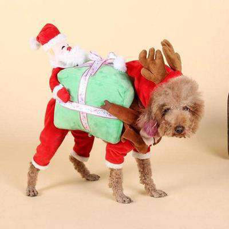 Santa Claus Dog Carrying Present Costume, Pet Clothes, Furbabeez, [tag]