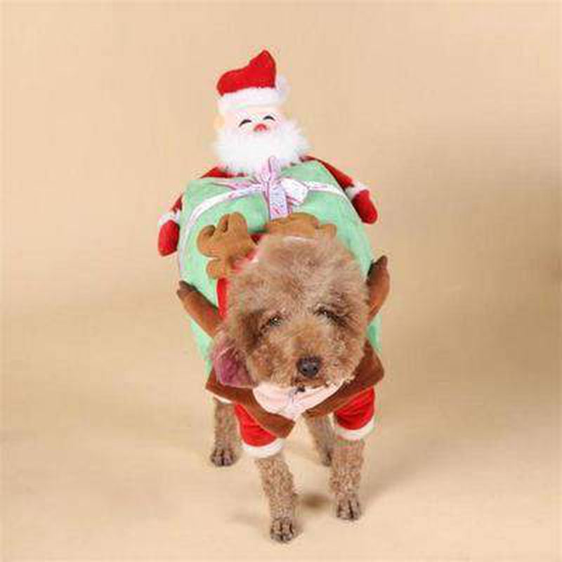 Dog costume santa hot sale