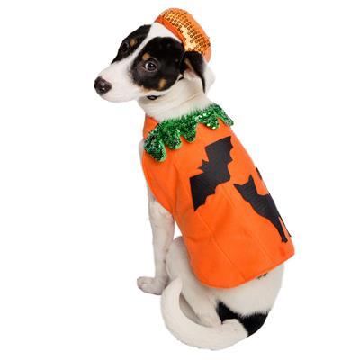 Pumpkin Dog Costume and Hat Pet Clothes Pet Krewe 