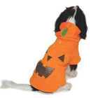 Pumpkin Dog Hoodie Sweatshirt, Pet Clothes, Furbabeez, [tag]
