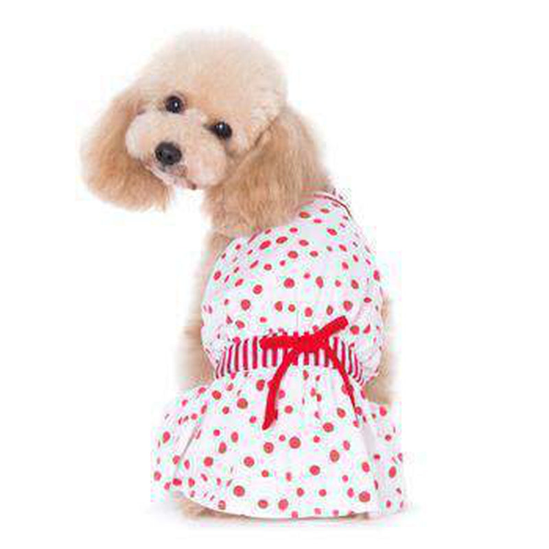 PuppyPAWer Bubble Dog Sun Dress, Pet Clothes, Furbabeez, [tag]