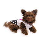 PuppyPAWer Flower N Dot Tank Top, Pet Clothes, Furbabeez, [tag]