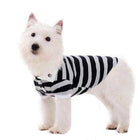 PuppyPAWer Stripe Dog Polo by Dogo - Black, Pet Clothes, Furbabeez, [tag]