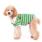 PuppyPAWer Stripe Dog Polo by Dogo - Blue and Yellow, Pet Clothes, Furbabeez, [tag]