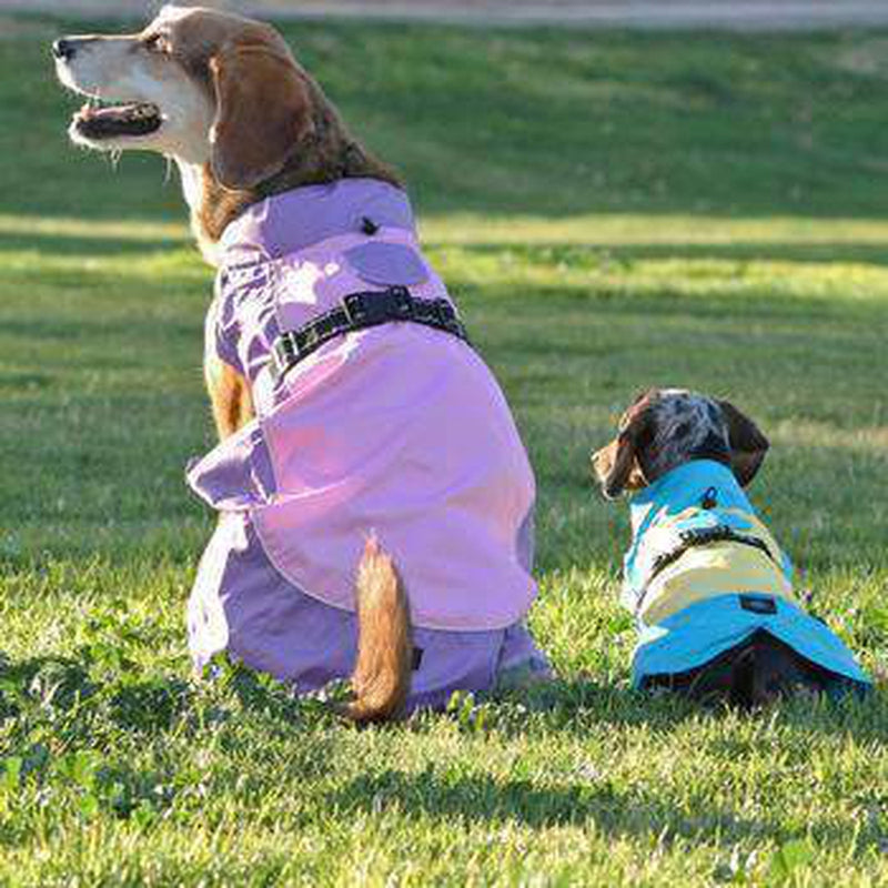 Dog Raincoat Body Wrap by Doggie Design - Pink and Lavender, Pet Clothes, Furbabeez, [tag]