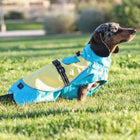 Dog Raincoat Body Wrap by Doggie Design - Blue and Yellow, Pet Clothes, Furbabeez, [tag]