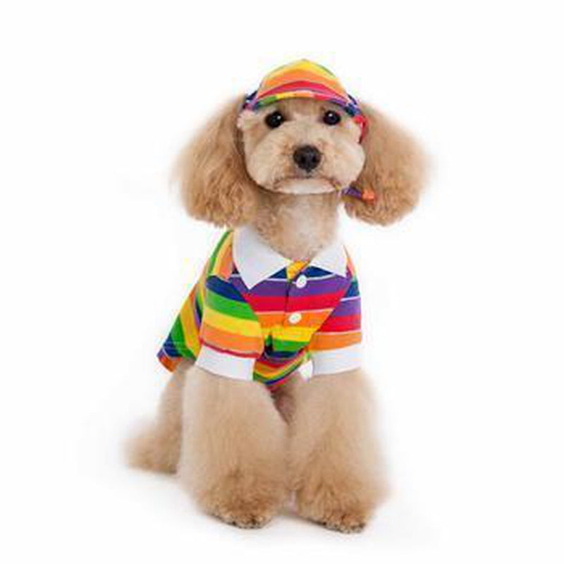 Rainbow Dog Hat, Pet Accessories, Furbabeez, [tag]