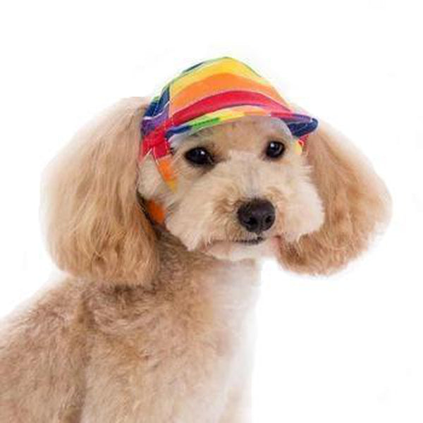 Rainbow Dog Hat, Pet Accessories, Furbabeez, [tag]