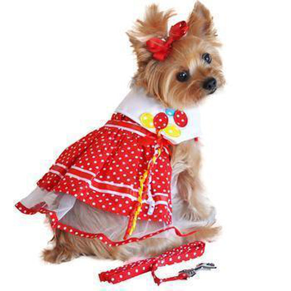 Red Polka Dot Balloon Designer Dog Harness Dress, Pet Clothes, Furbabeez, [tag]