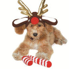 Rudolph Reindeer Dog Hat Pet Accessories DOGO 