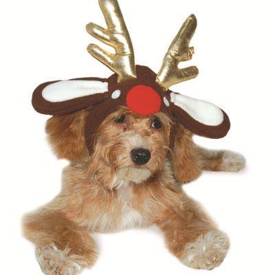 Rudolph Reindeer Dog Hat Pet Accessories DOGO 