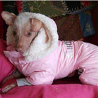 Ruffin It Snowsuit - Pink, Pet Clothes, Furbabeez, [tag]