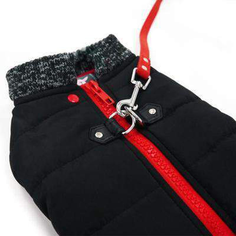 Runner Dog Coat - Black, Pet Clothes, Furbabeez, [tag]