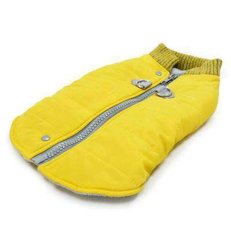 Runner Dog Coat - Yellow, Pet Clothes, Furbabeez, [tag]