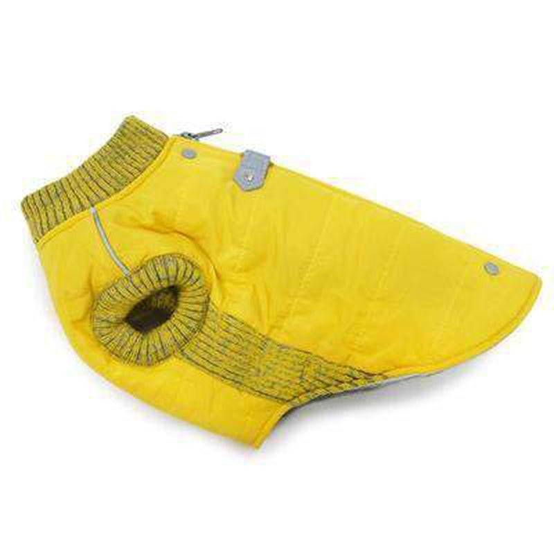 Runner Dog Coat - Yellow, Pet Clothes, Furbabeez, [tag]