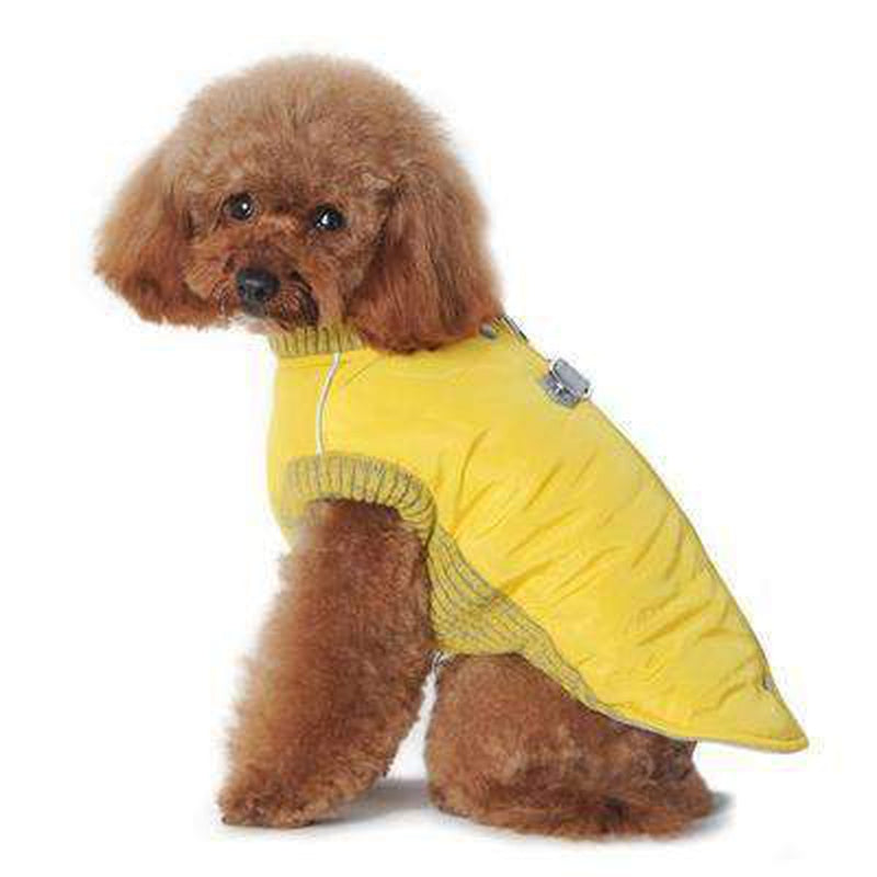 Runner Dog Coat - Yellow, Pet Clothes, Furbabeez, [tag]