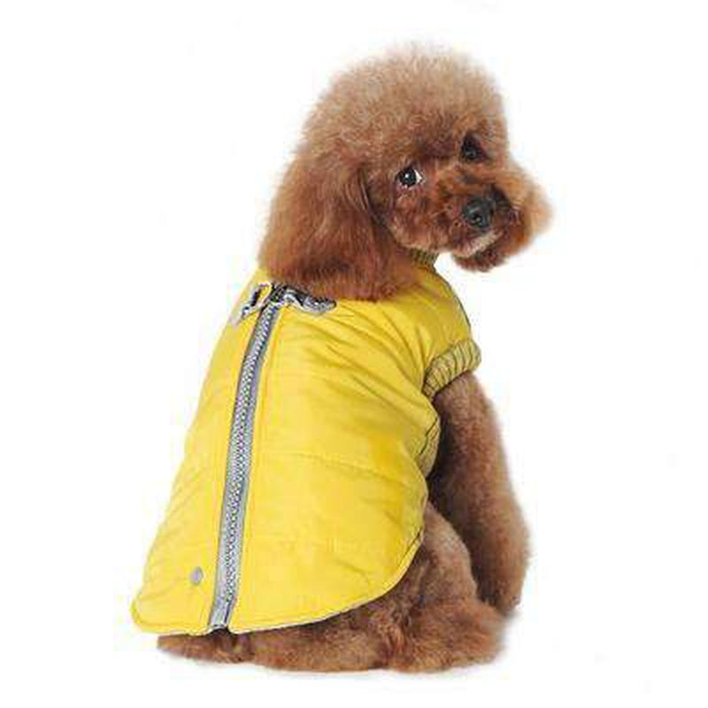 Runner Dog Coat - Yellow, Pet Clothes, Furbabeez, [tag]