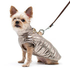 Runner Dog Coat - Gold Pet Clothes DOGO 