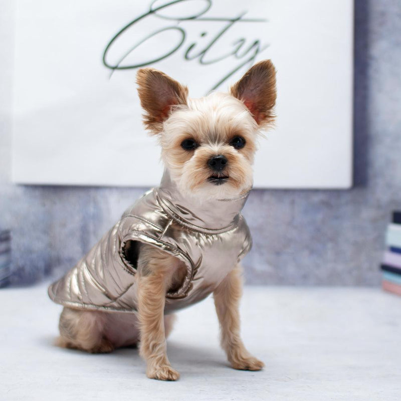 Runner Dog Coat - Gold Pet Clothes DOGO 