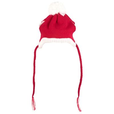 Santa Dog Beanie Hat Pet Accessories Worthy Dog 