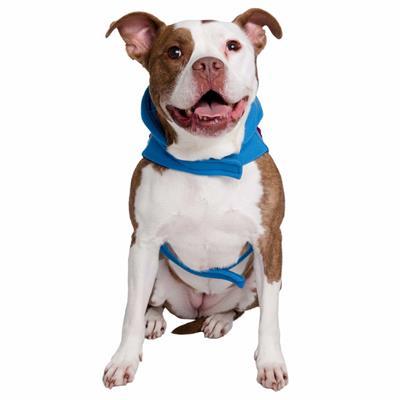 Sesame Street Super Grover Dog Pet Costume Pet Clothes Pet Krewe 