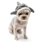 Shark Dog Hat, Pet Accessories, Furbabeez, [tag]