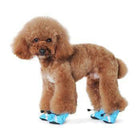 Slip-On Paws Dog Booties by Dogo - Blue, Pet Clothes, Furbabeez, [tag]