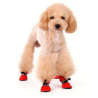 Slip-On Paws Dog Booties by Dogo - Red, Pet Clothes, Furbabeez, [tag]