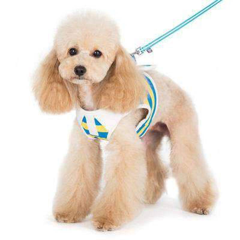 SnapGo Polo Boy Dog Harness by Dogo, Collars and Leads, Furbabeez, [tag]