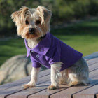 Solid Dog Polo - Ultra Violet, Pet Clothes, Furbabeez, [tag]