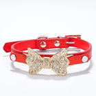 Sparkle Bow Cat Collar, Collars and Leads, Furbabeez, [tag]